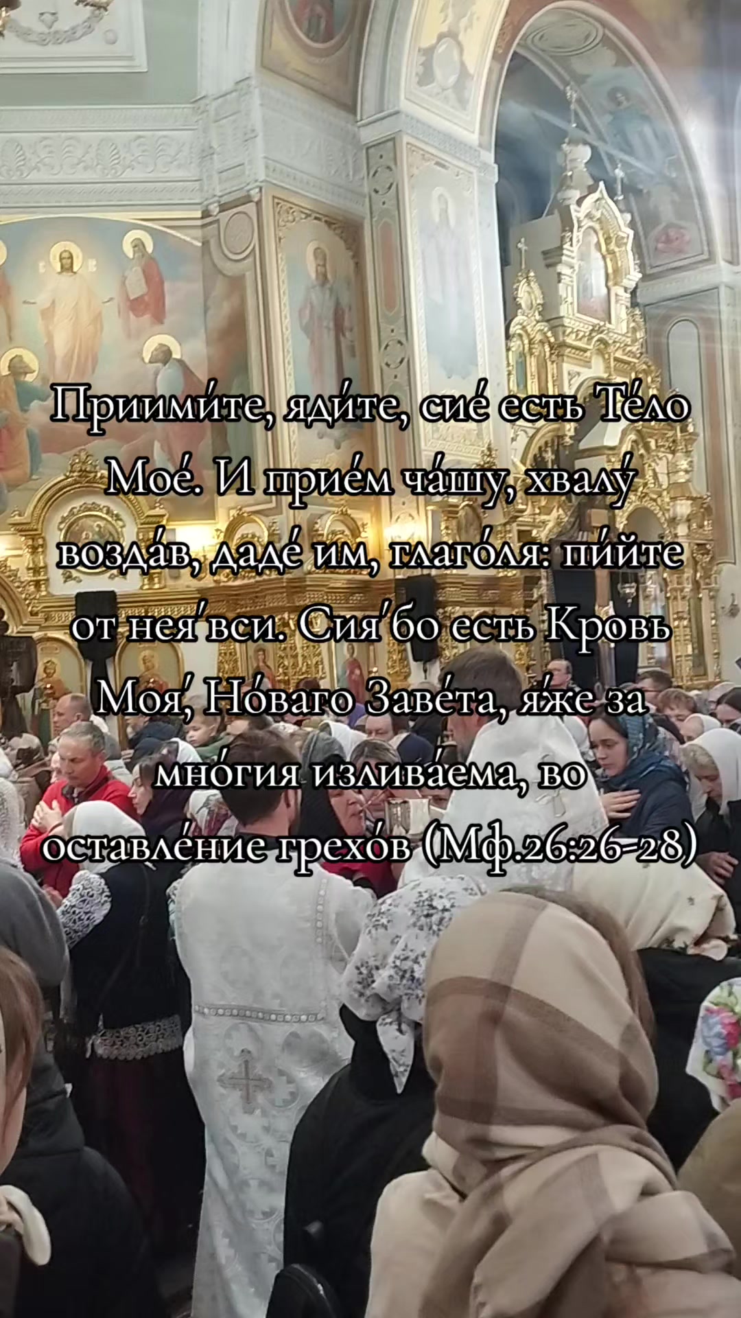 @DASHенция