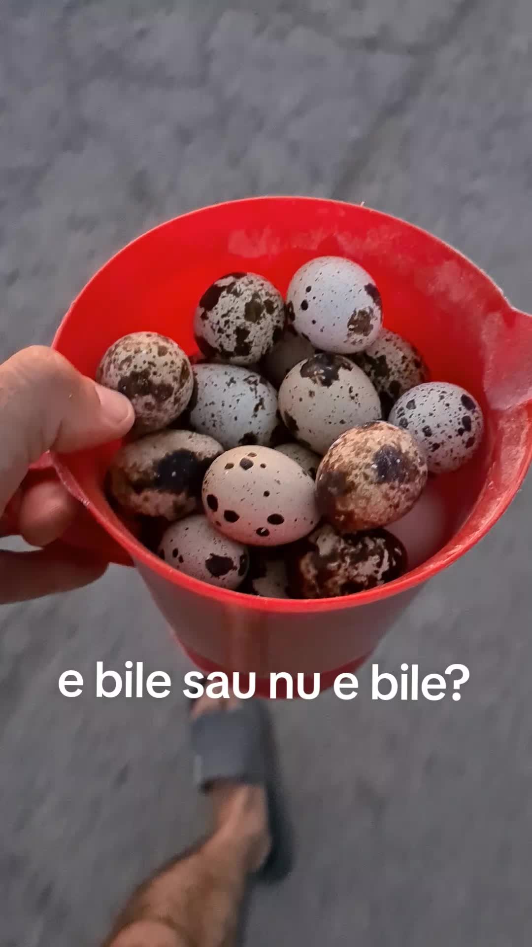 @Bogdan Hriscu