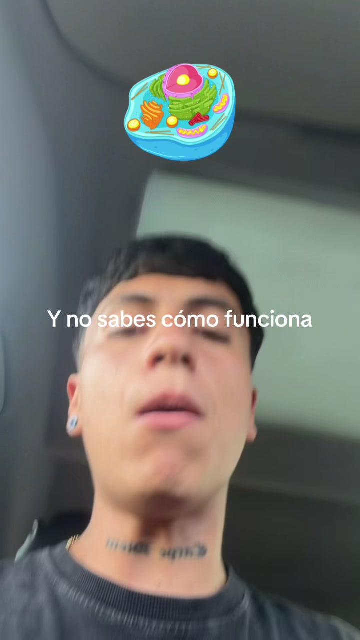@ENDOBOY