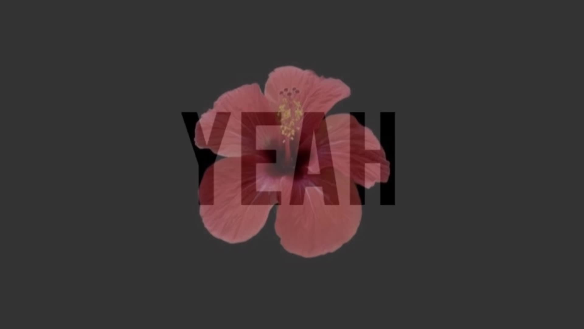 @M&rsquo;🌺