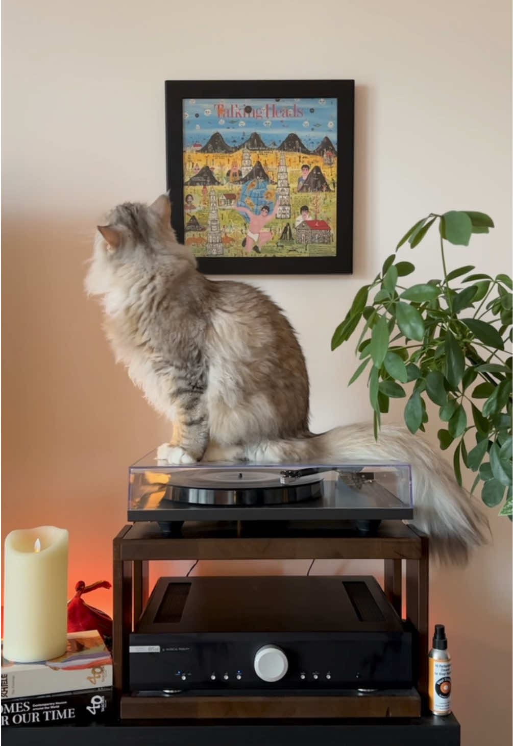 @Leon The Vinyl Cat