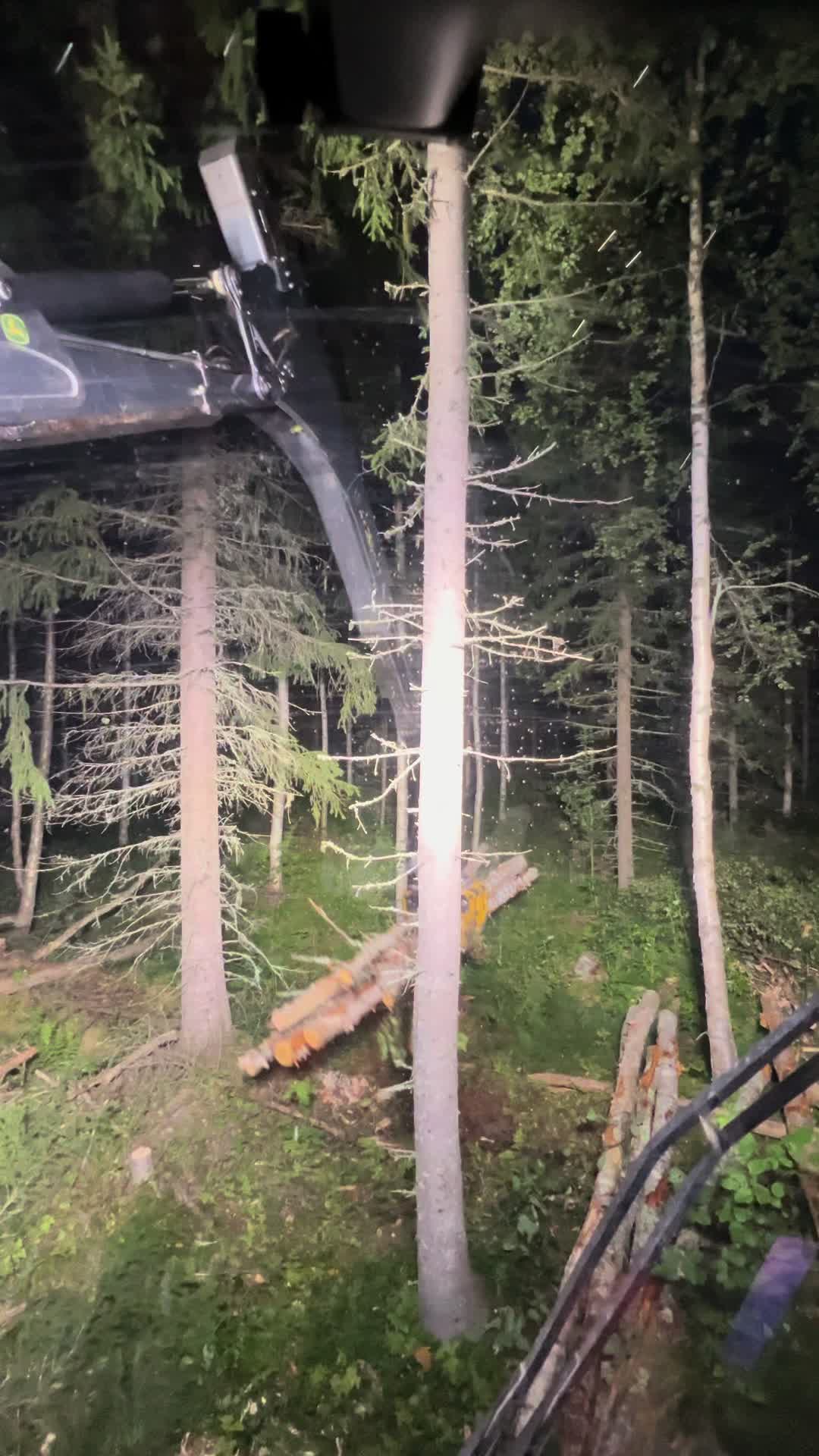 @www.edvard.se