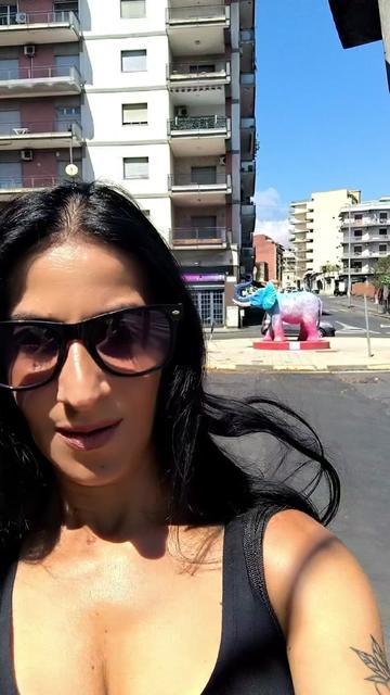 @silviaplacenti