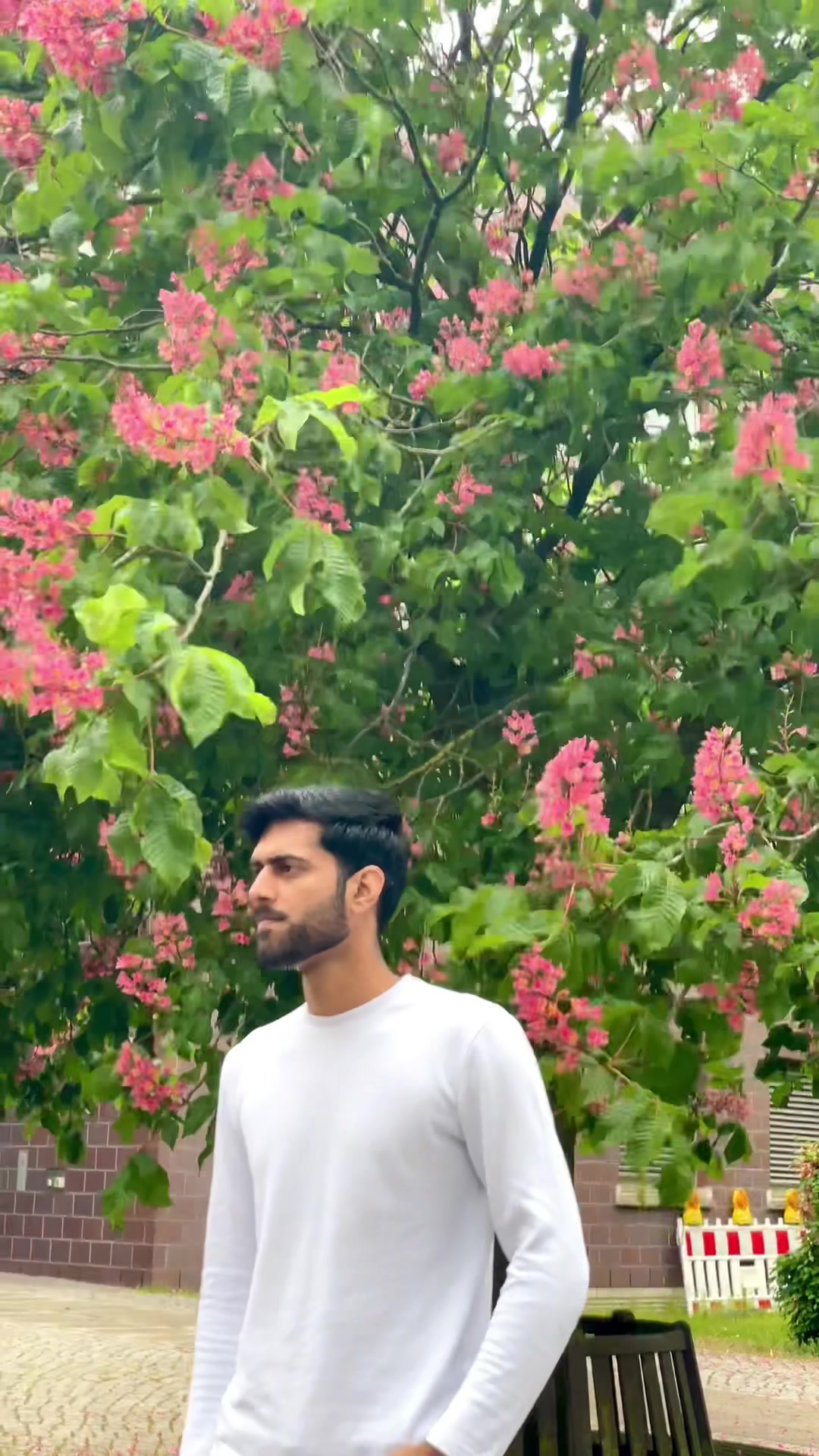@Taimoor Bhatti🇩🇪