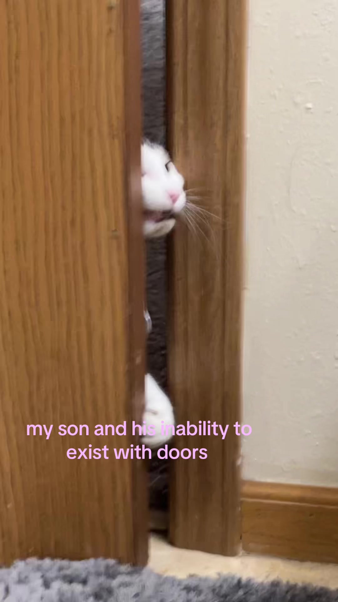 @fuckoffjanet444