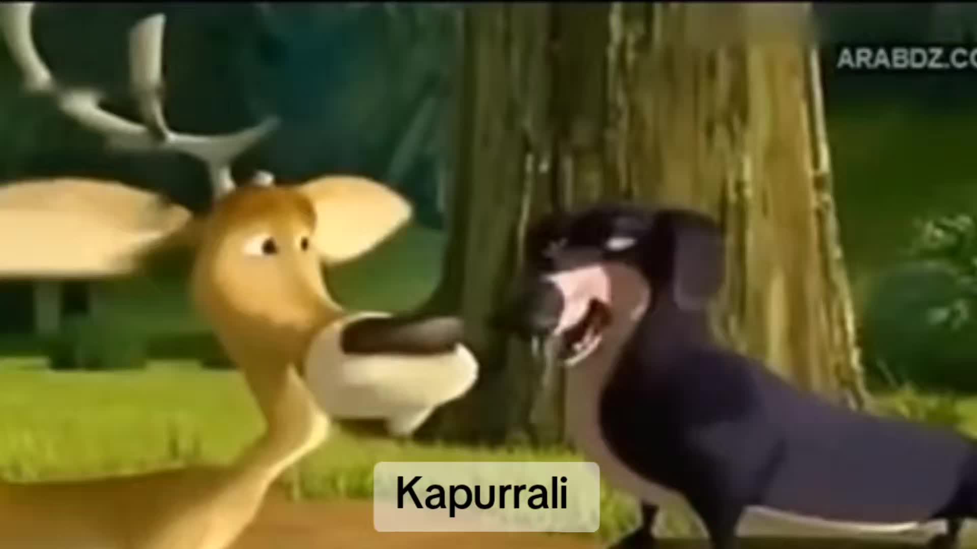 @Kapurrali