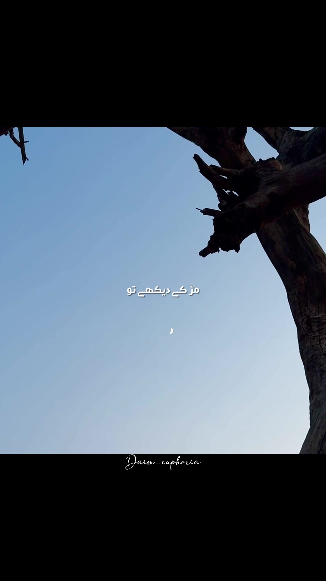 @daim_euphoria