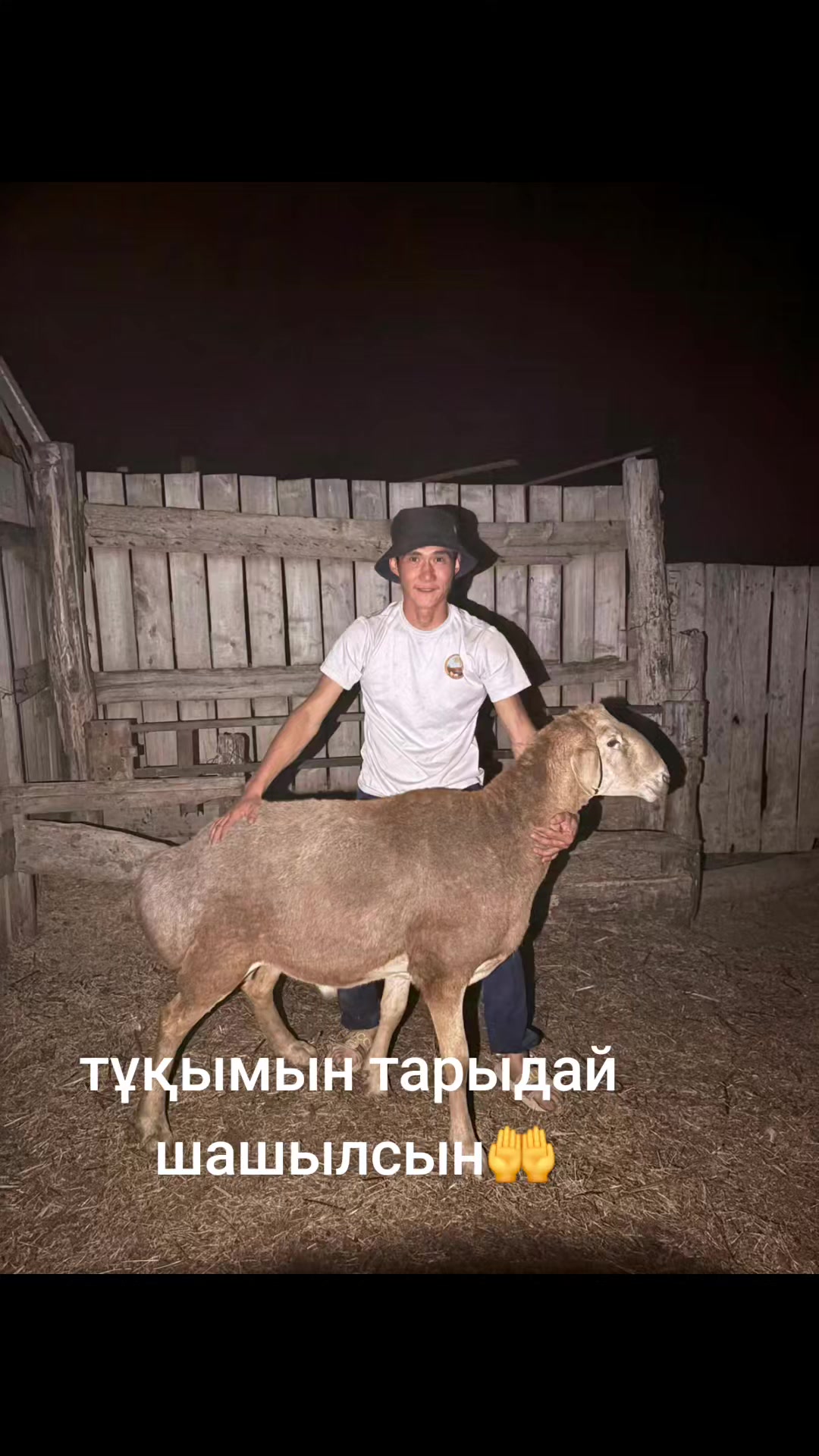 @Мержан