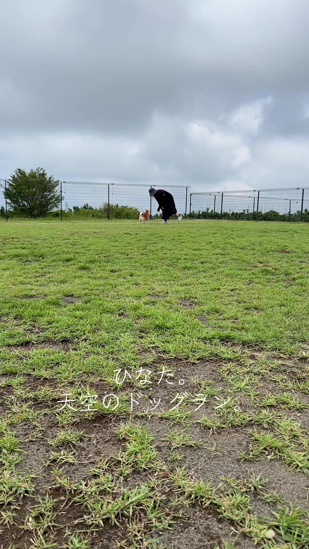 @ひでぽともぽ
