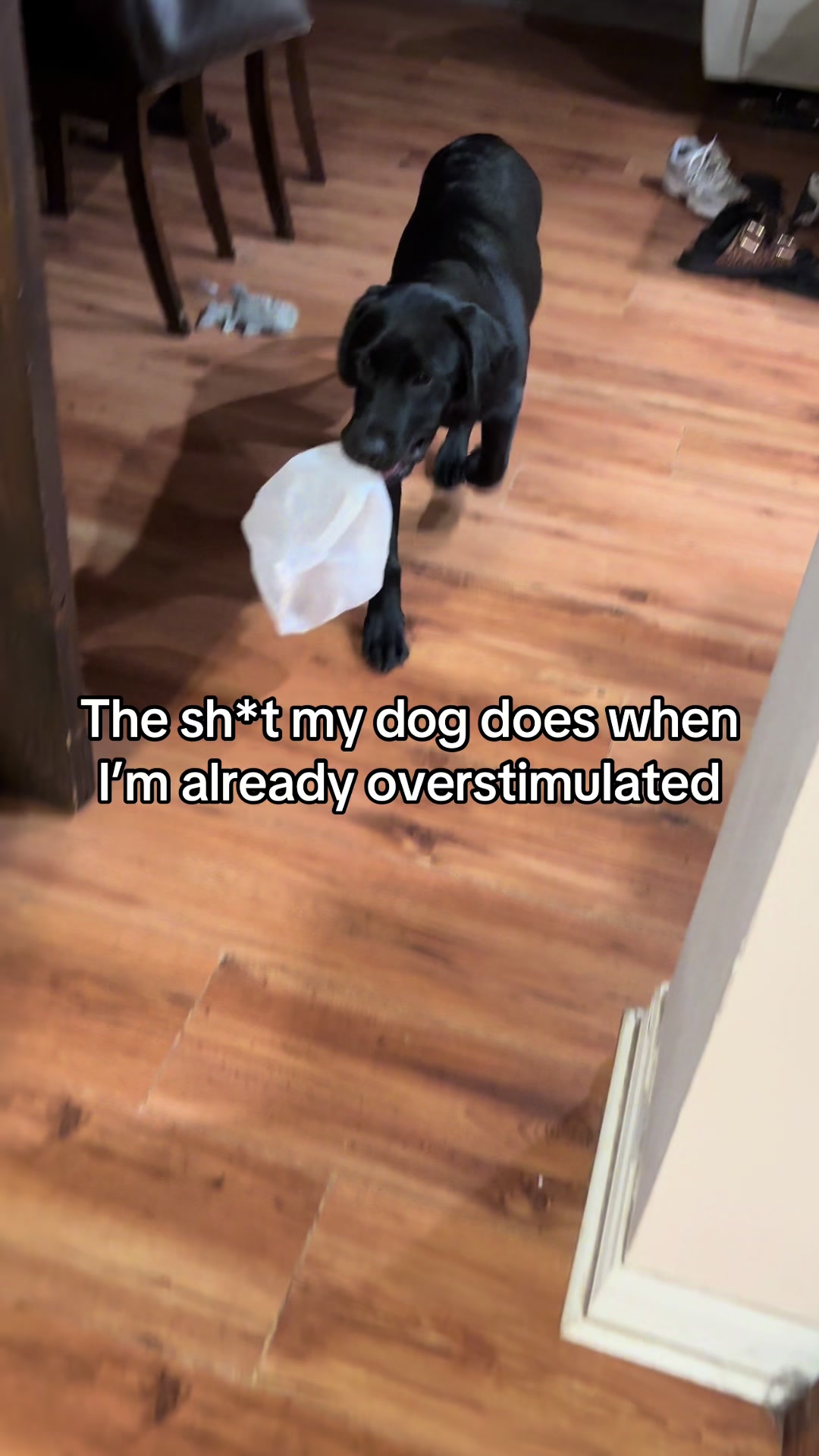 @erica