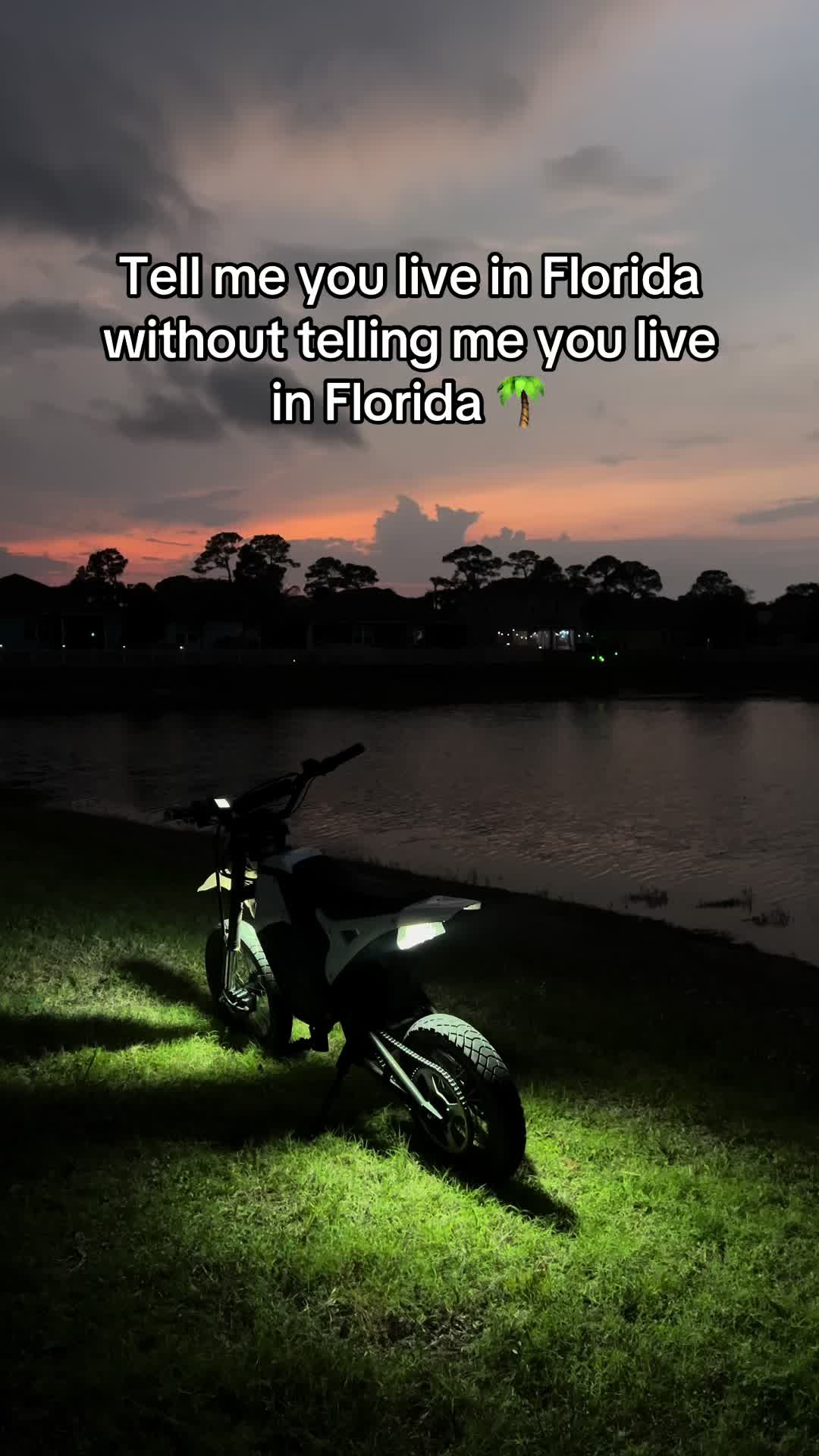 @Draco.willl