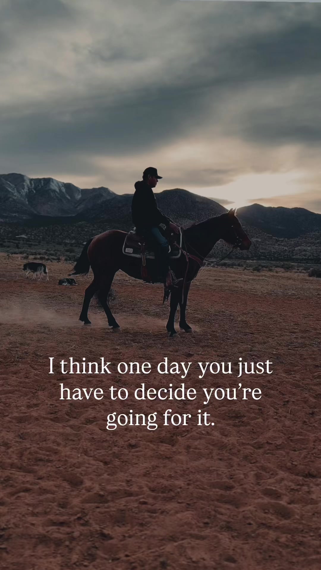 @The Cow Dude