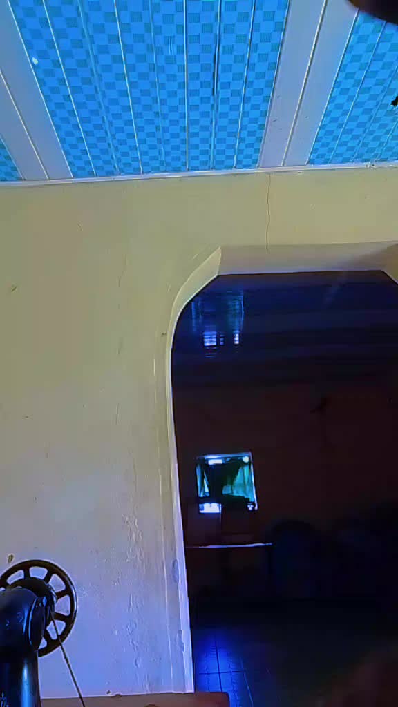 @joyphenahnekesa3