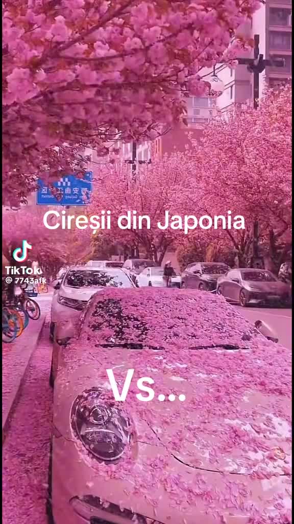 @Ruxandra Roxy