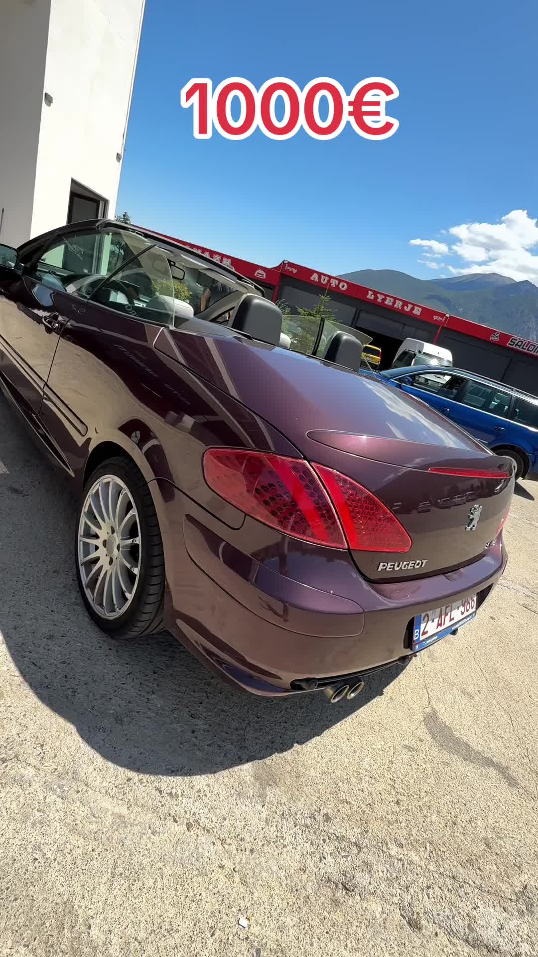 @Auto Nerguti