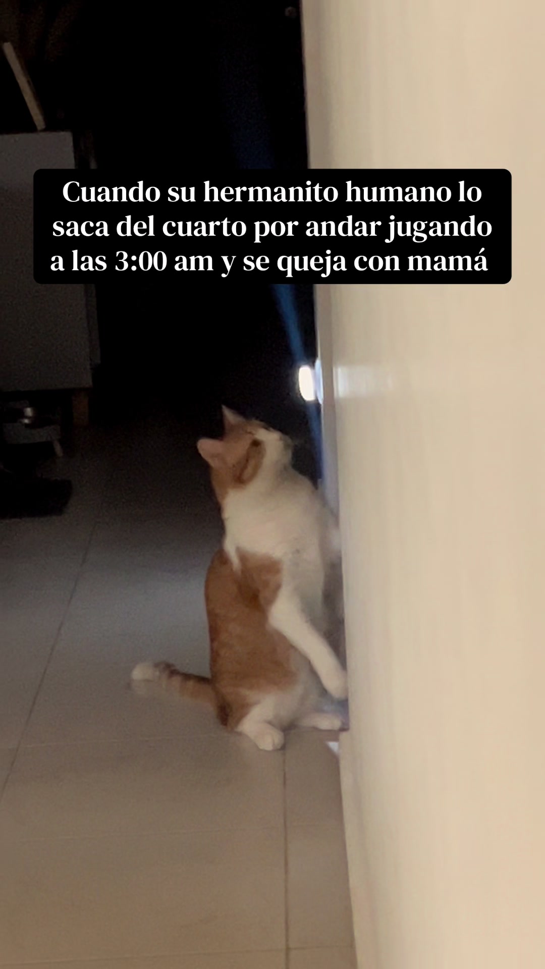 @Esmeralda Alemán