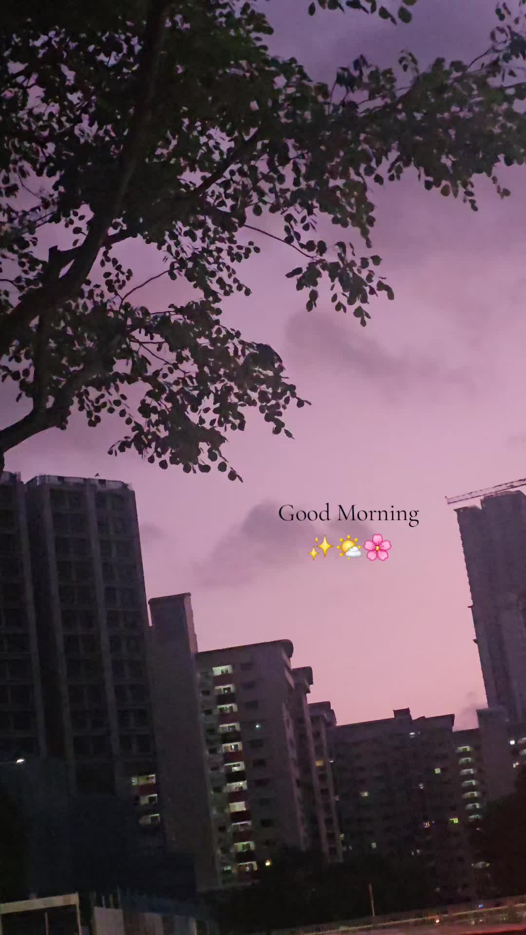 @🤍🦋 Sai Prasad Ras 🦋🤍