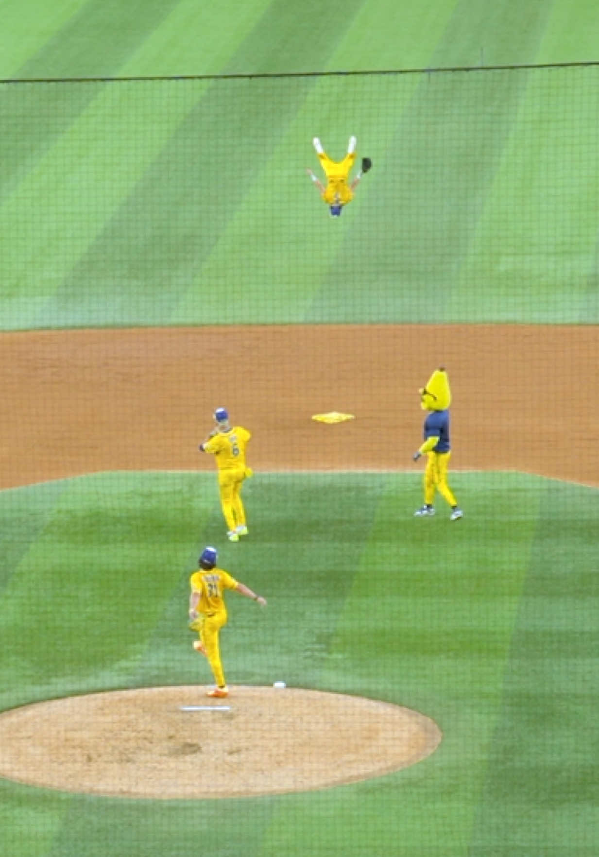 @thesavbananas