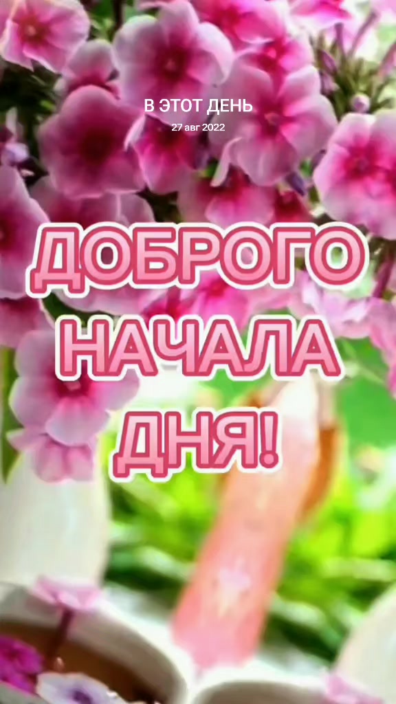 @💫Даниса💫