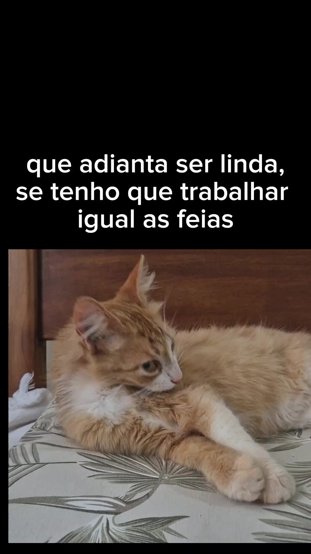 @departamento do surto