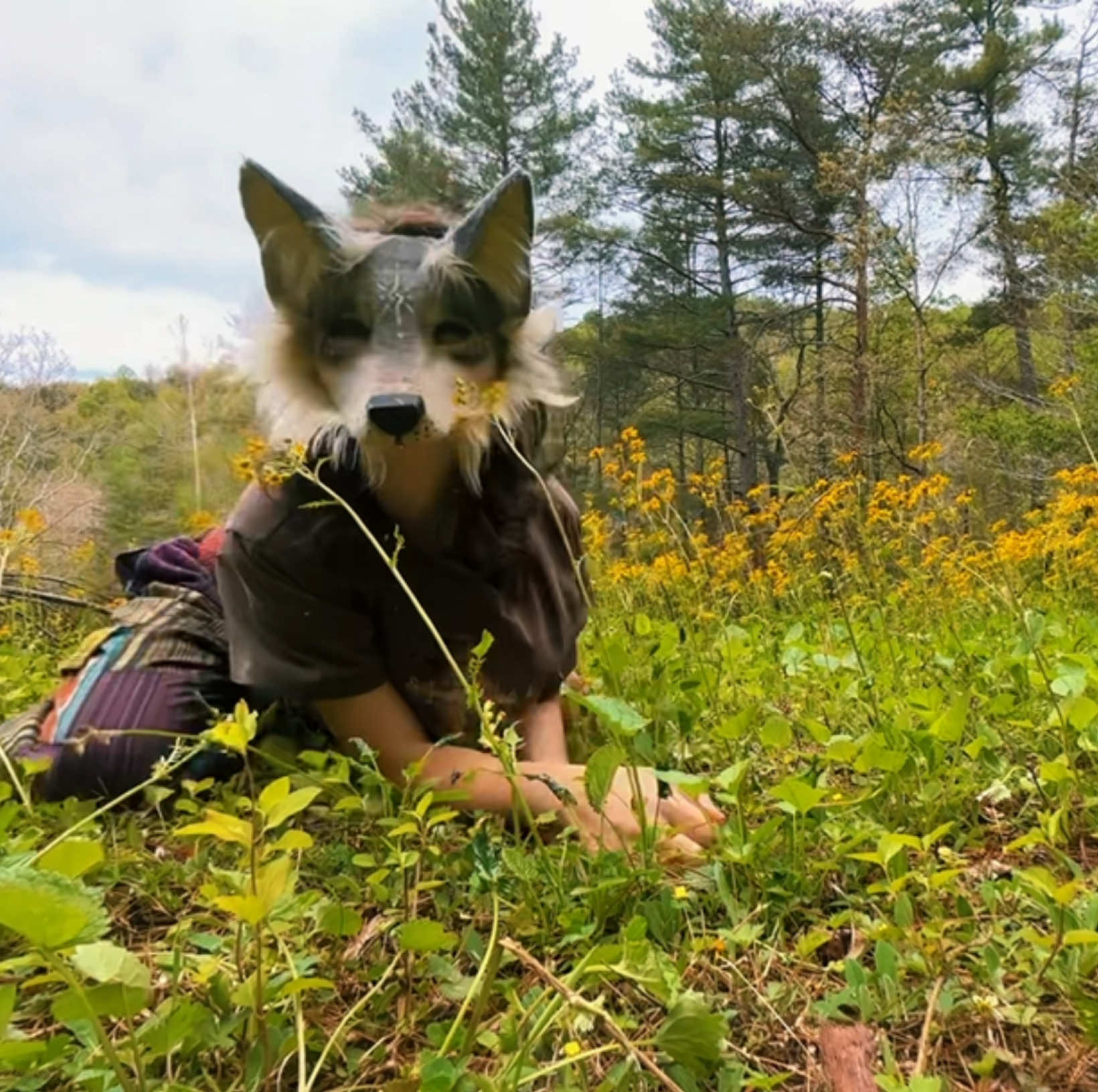 @🦴🌱~Dakota~🌱🦴