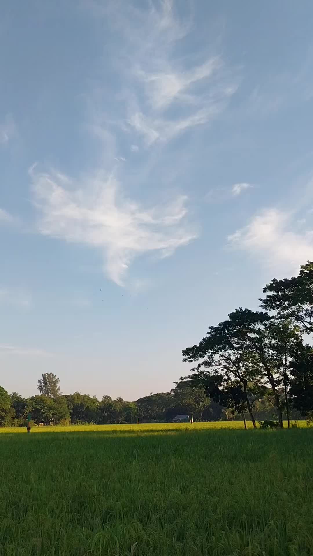 @Sanzida Nahar