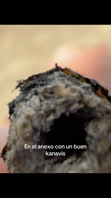 @Fermin