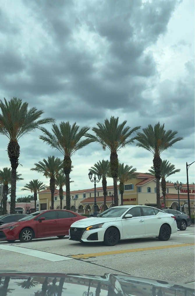 @Beautiful Florida