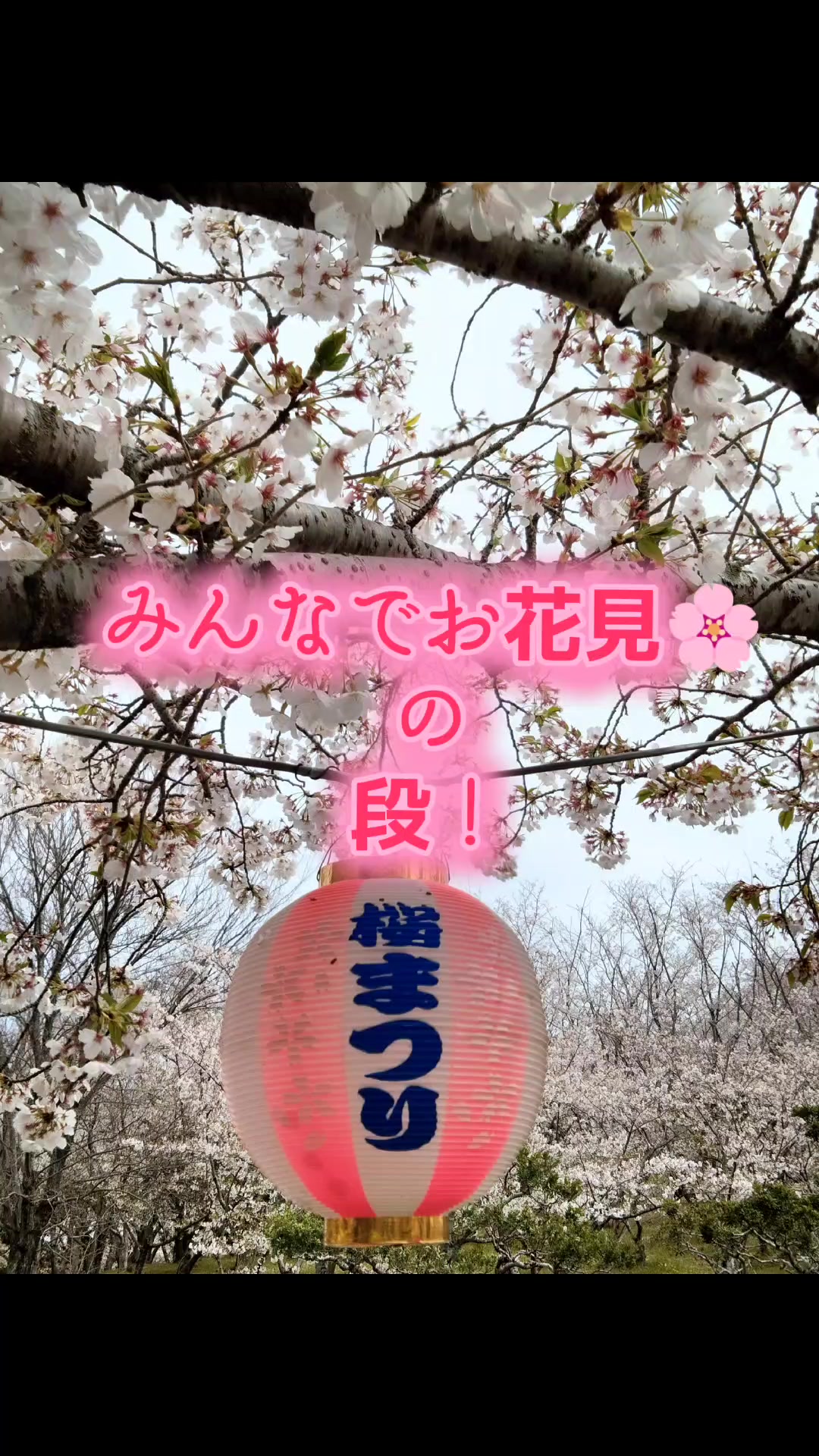 @きりん🦒🥷🥚垢