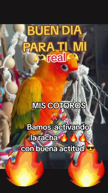 @🇸🇻💃💃🇸🇻🍏ᛔ&otilde;ꪑ𝒃&otilde;𝒎𝖘𝕚🦅🦅