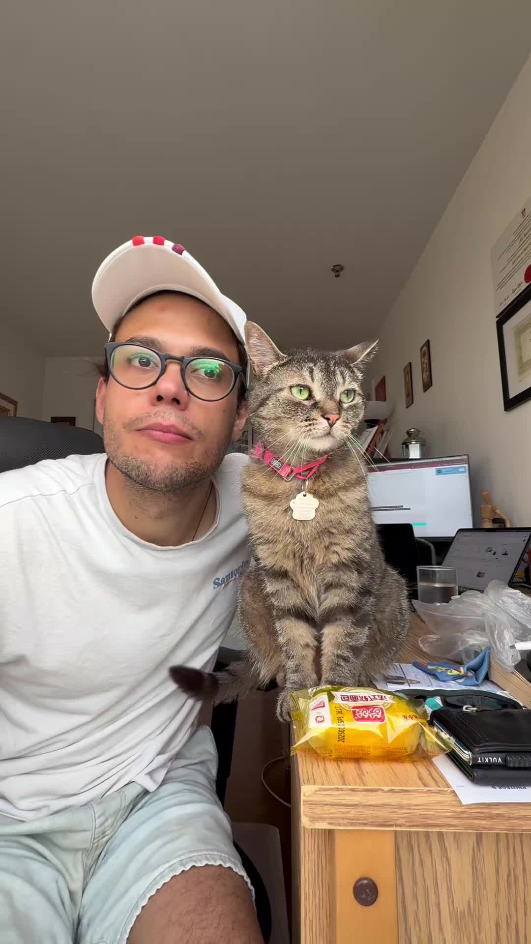 @Bellarda the cat