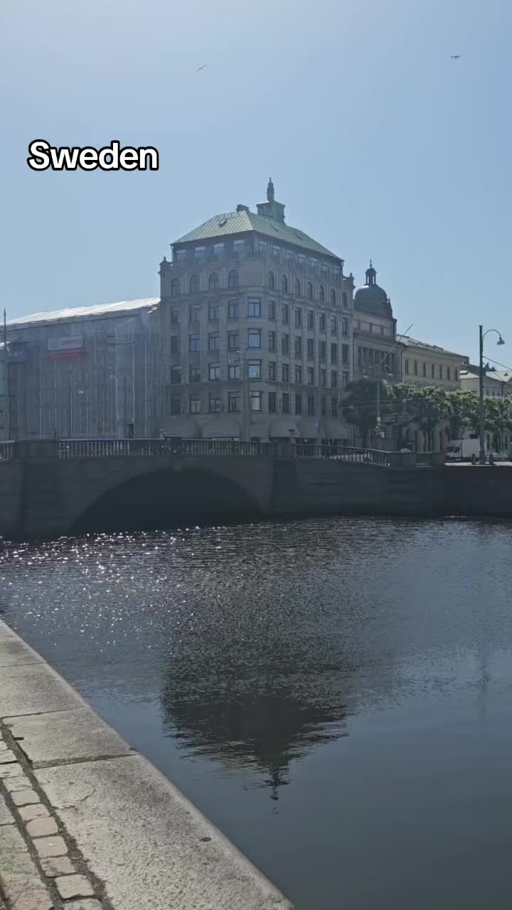 @danielaraimondo47