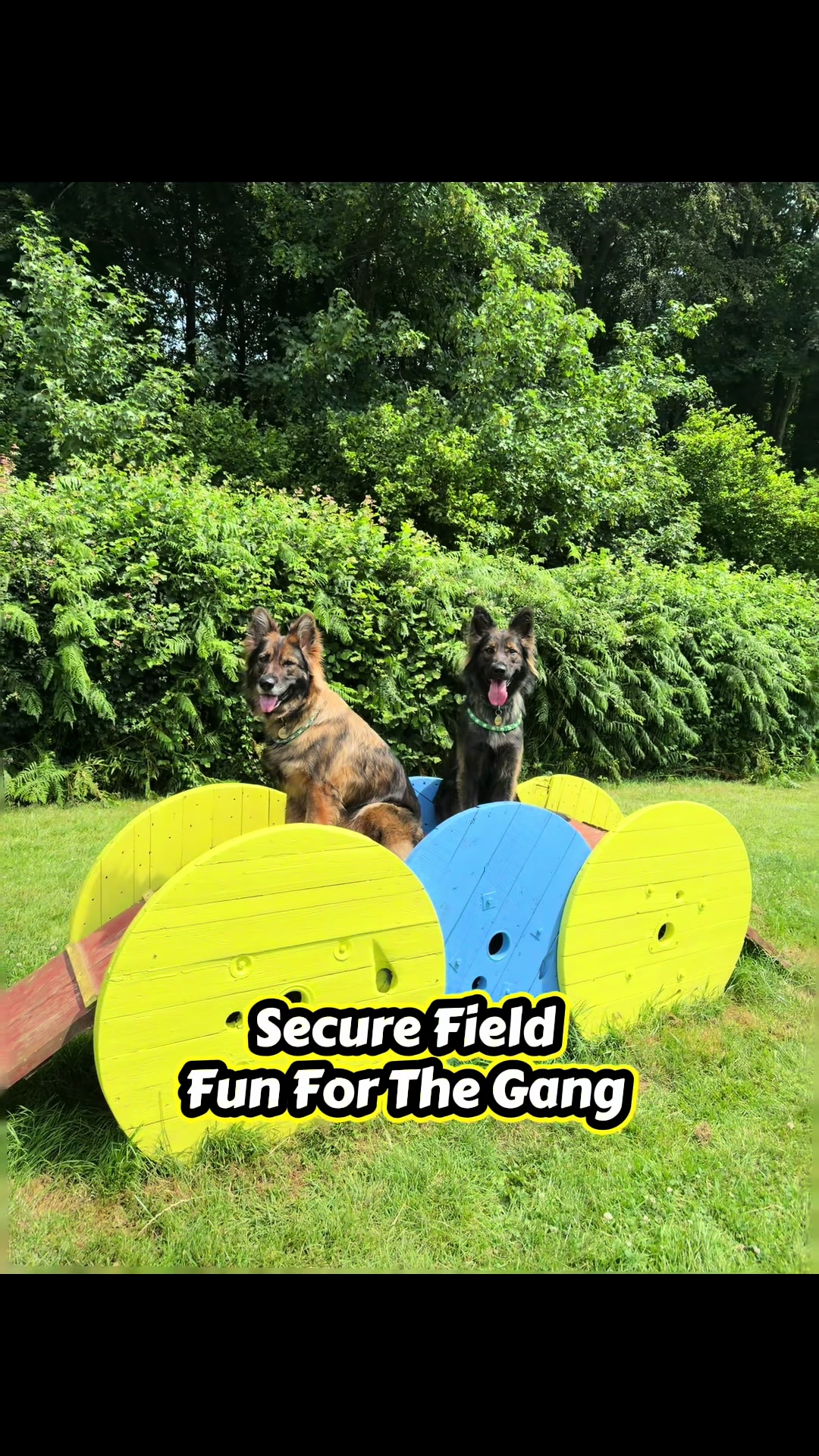 @TheGSDhubwithjennygould