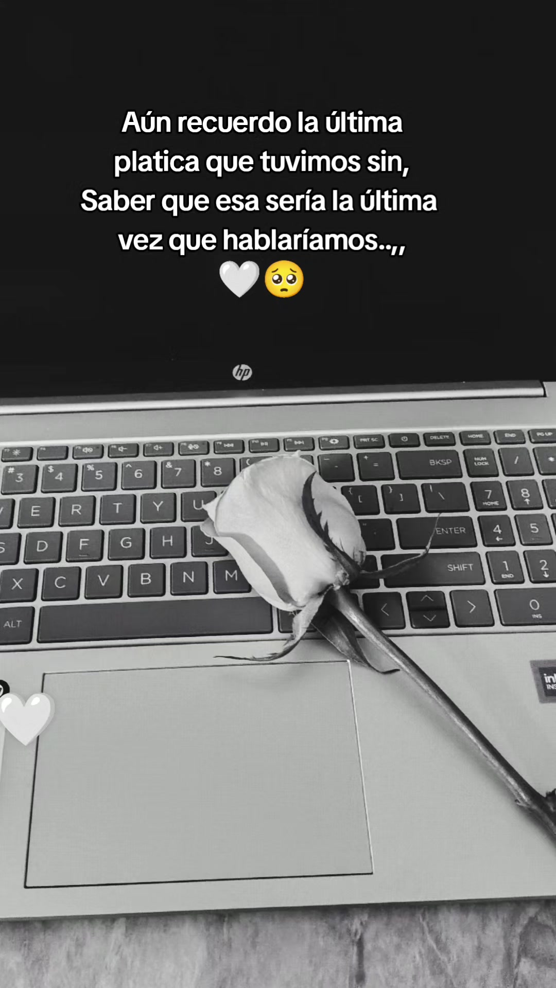 @vecky