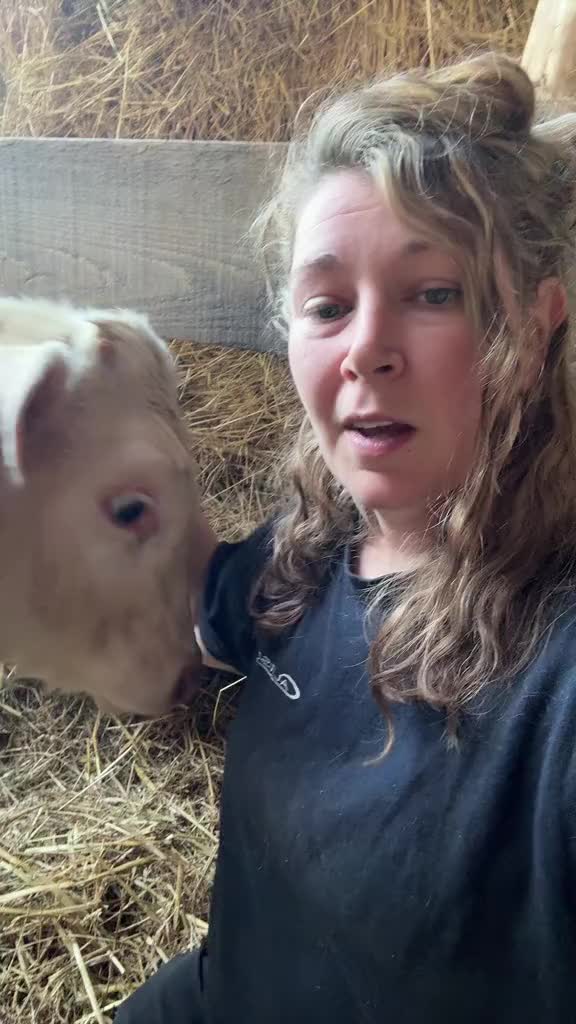 @ᏦᎥᎥᏦᏗᏗ 🌾🚜🐮