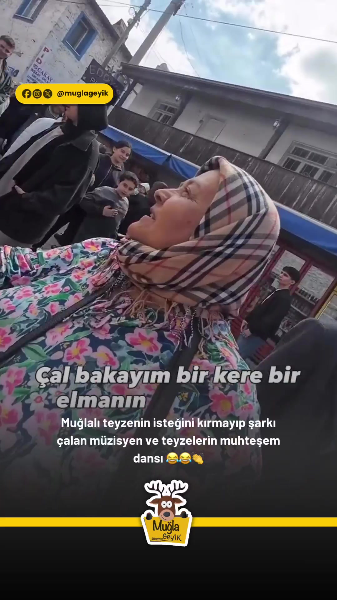 @Muğla Geyik