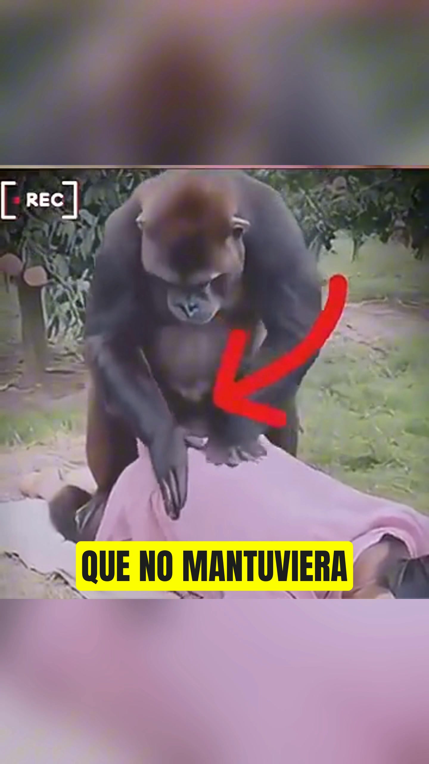 @Hist&oacute;ria_real_estrangeiro