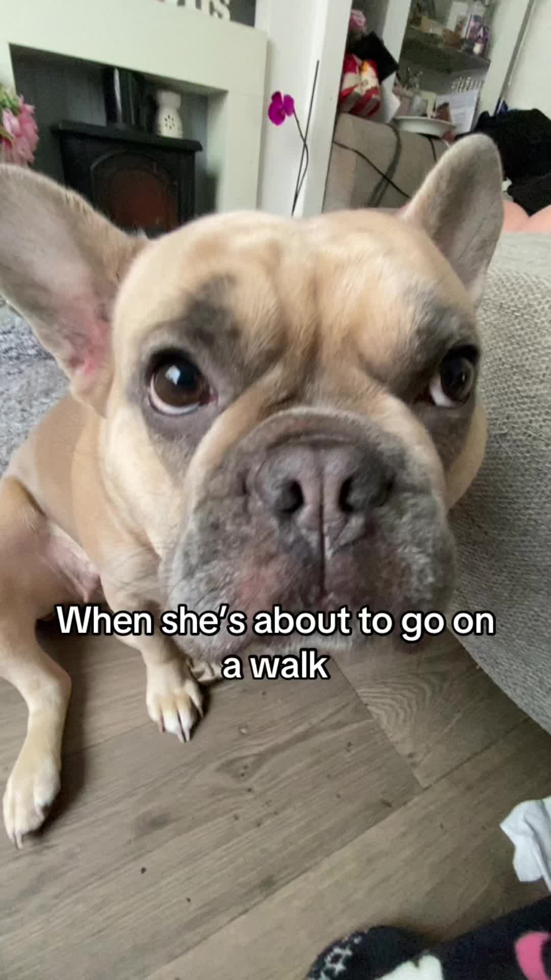 @Jessie 🐶