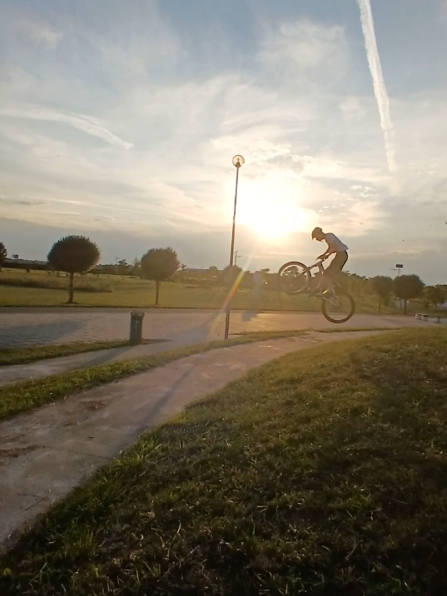 @._.vld12
