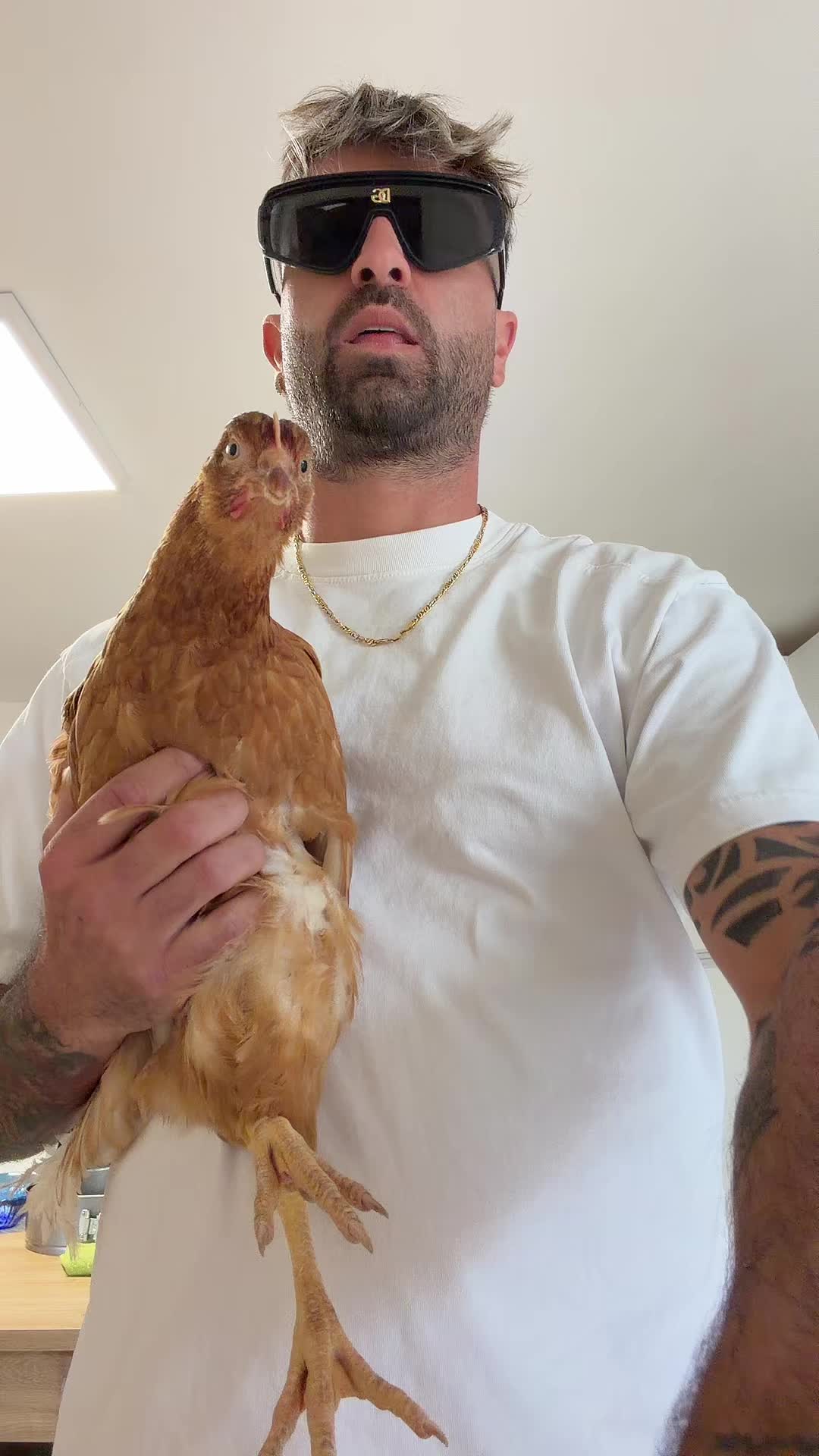 @RedForcePitbull