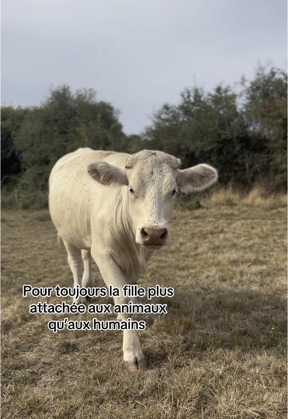 @Juliette 👩🏼&zwj;🌾🌾