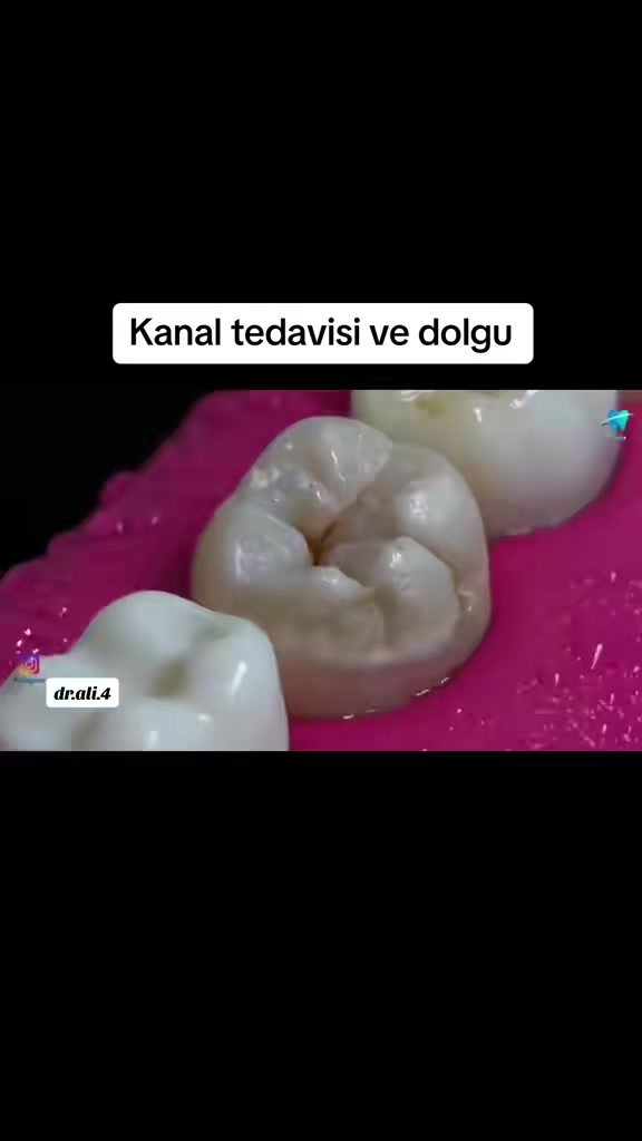 @⚜️ ALİ ⚜️