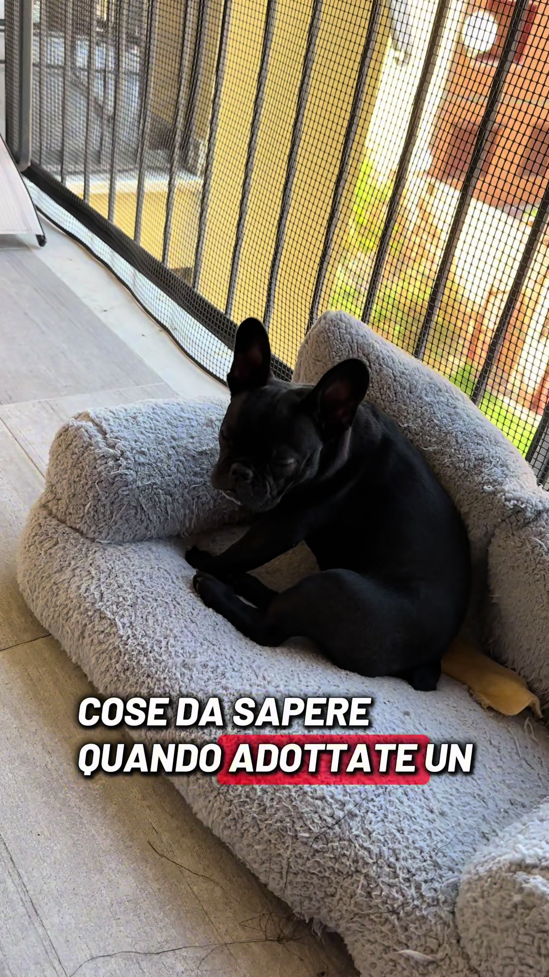 @Bullo_mal&ugrave;