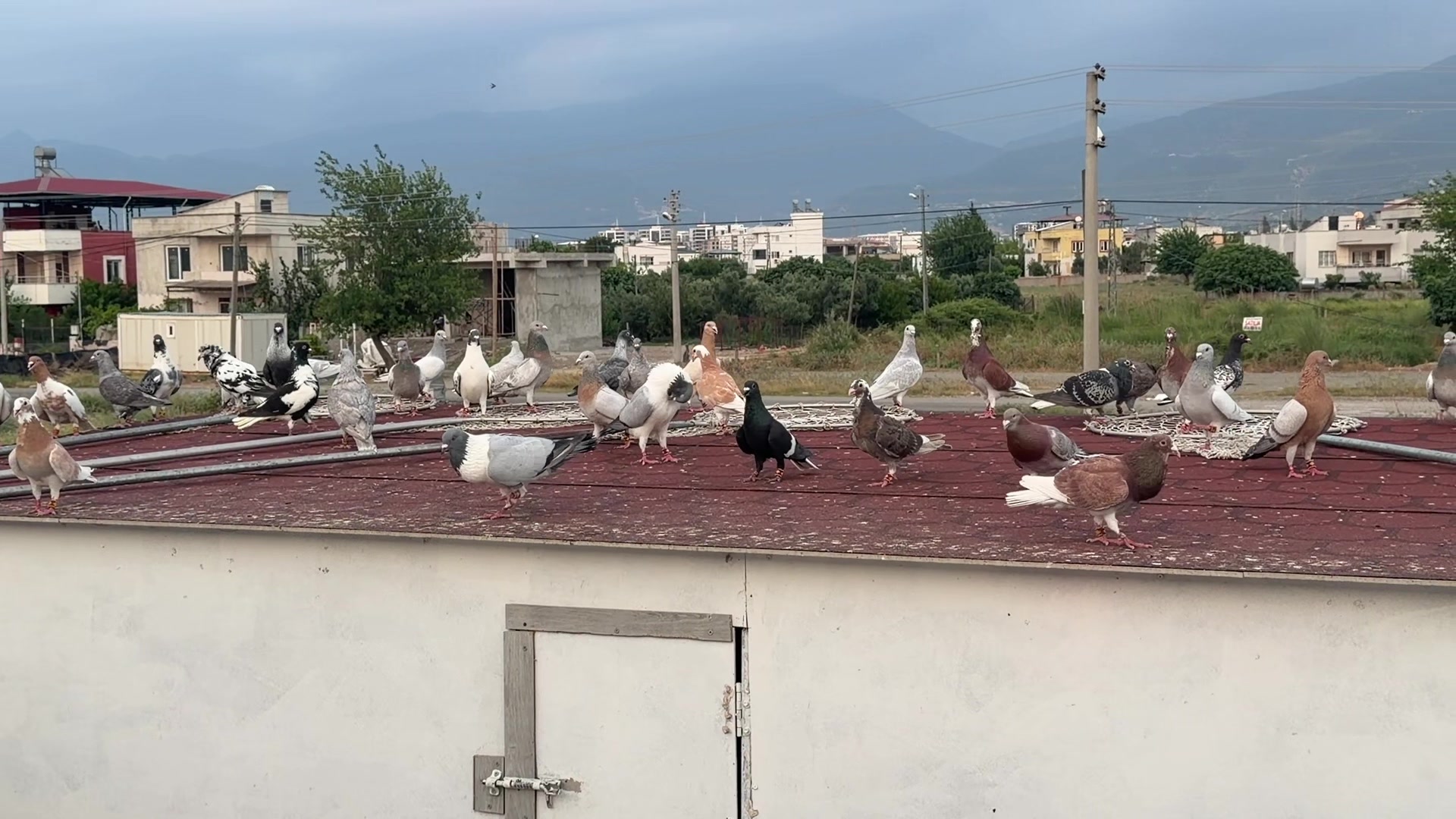 @Mustafa Korkutan