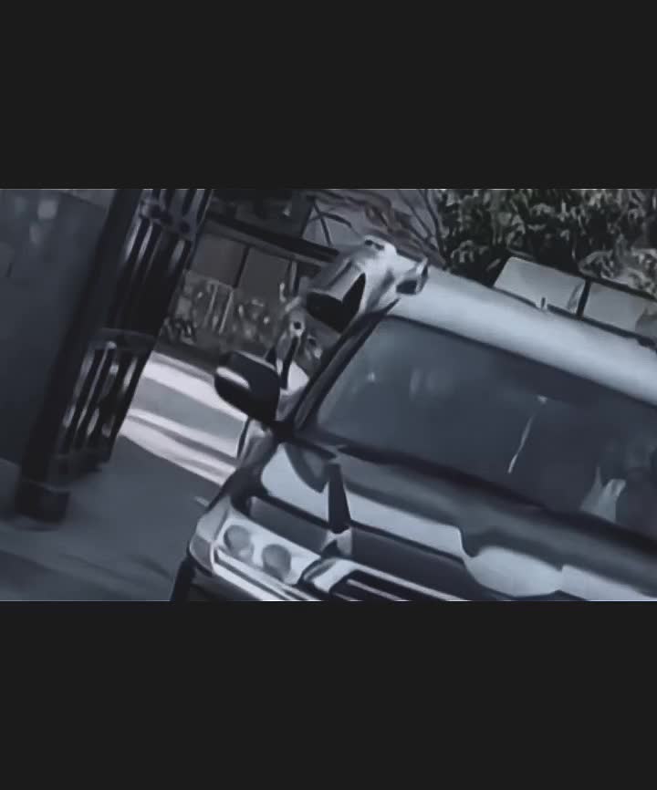 @𝘾𝙍𝙄𝙈𝙄𝙉𝘼𝙇☠︎︎𝙀𝘿𝙄𝙏𝙓