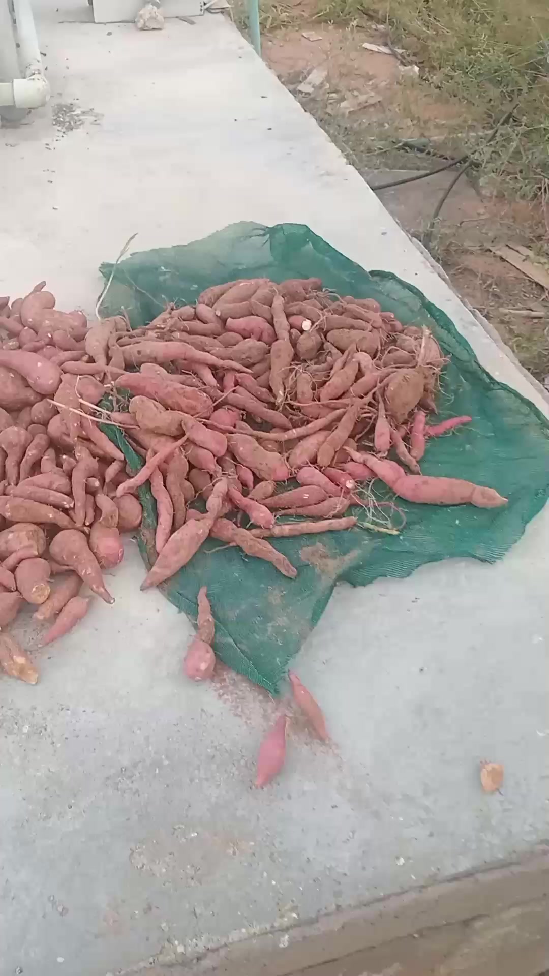 @01_𝑴𝒅.𝑨𝒃𝒅𝒖𝒍 𝑩𝒂𝒕𝒆𝒏
