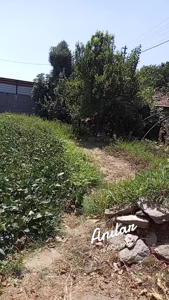 @karaman09