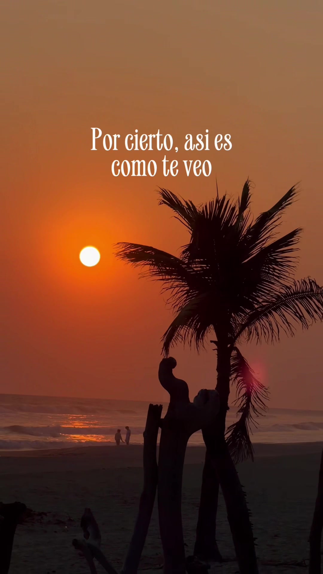 @Cecilia Rodríguez