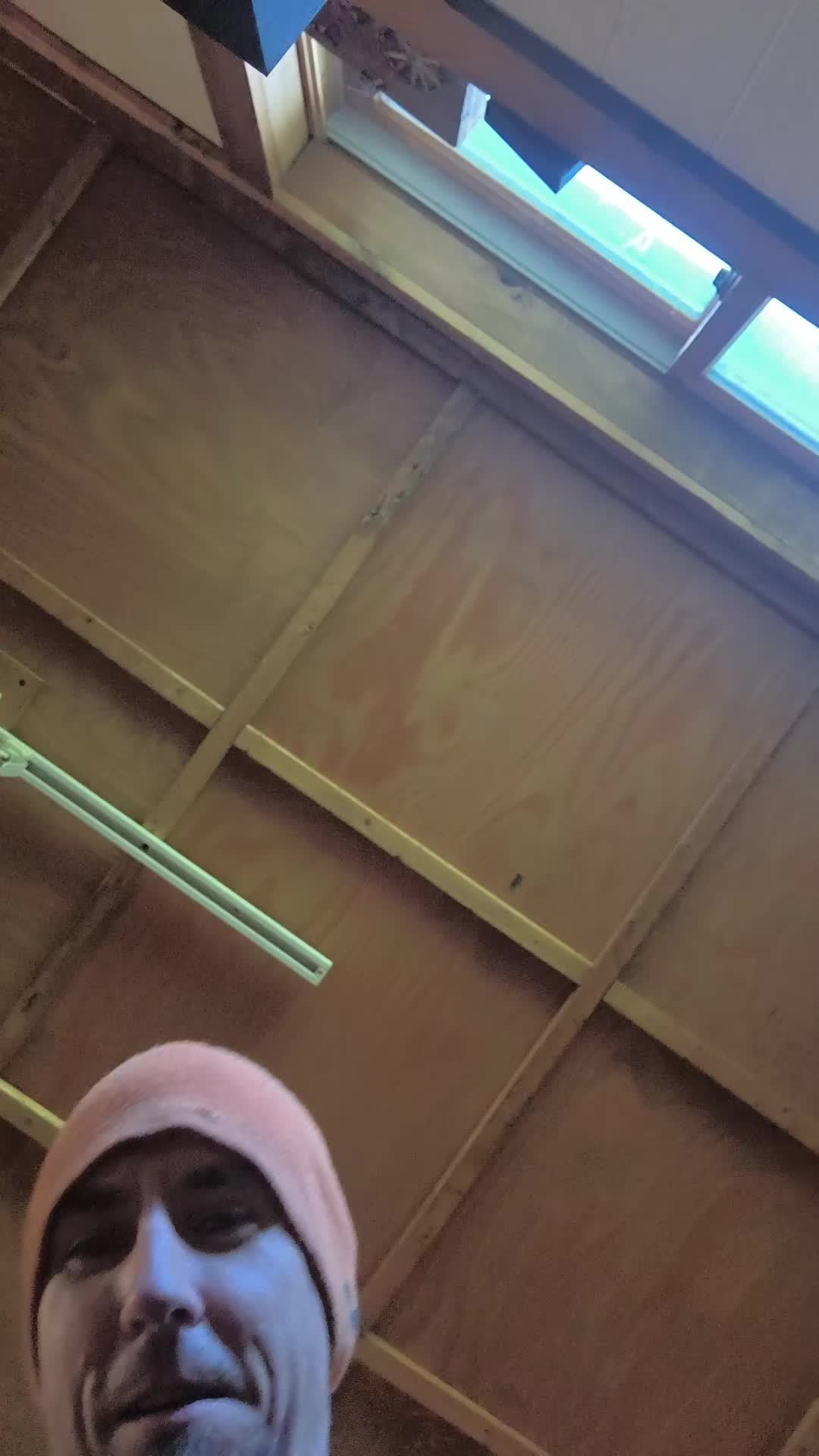 @DINGODARE