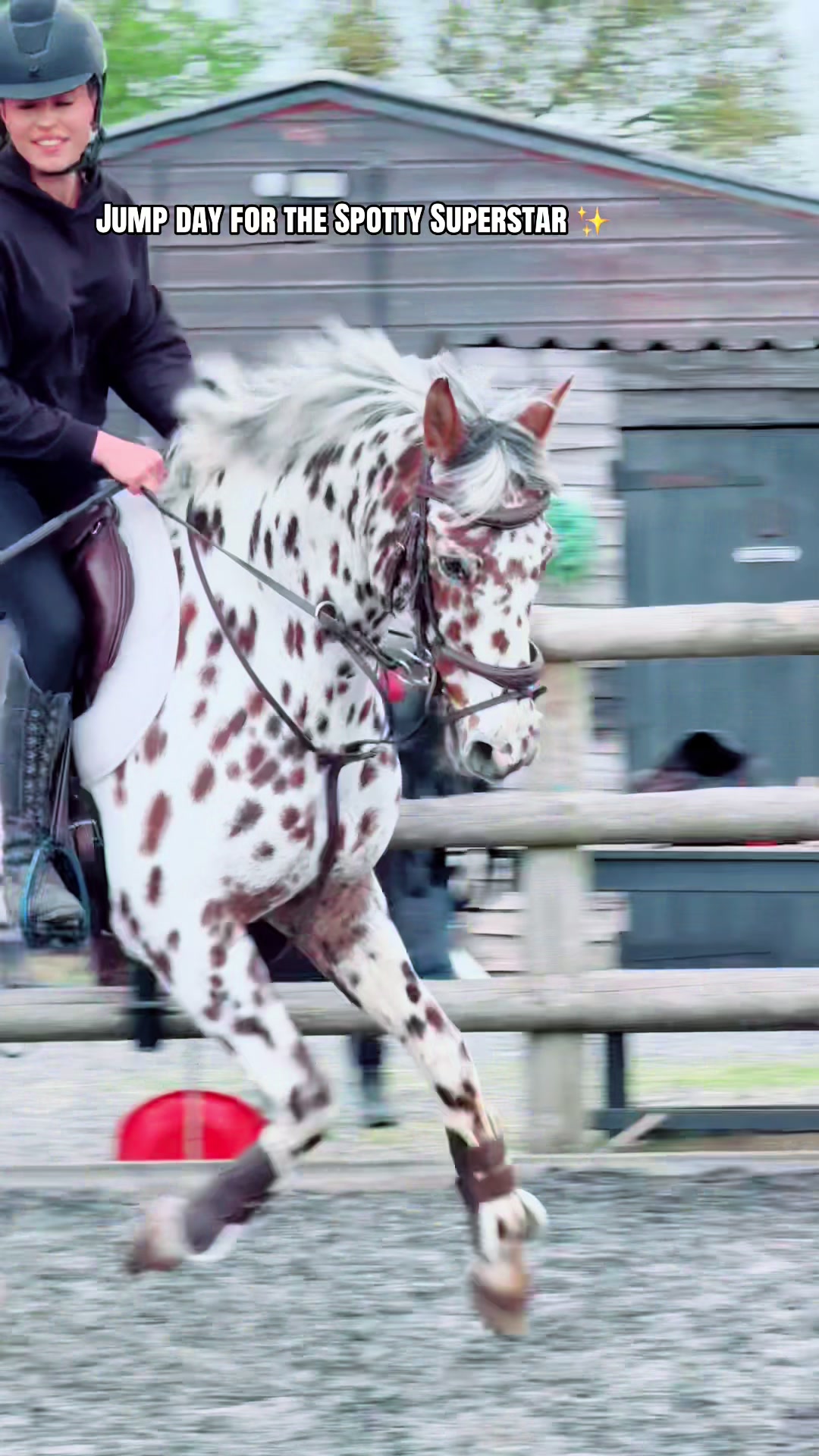 @LW_Equestrian